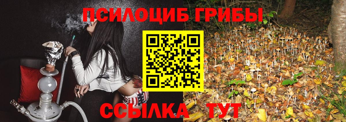 Псилоцибиновые грибы ЛСД  Псилоцибиновые грибы Psilocybe  Вход с VPN  Карталы 